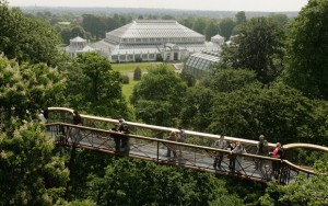 Kew-Gardens