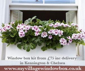 My Village Window Box
