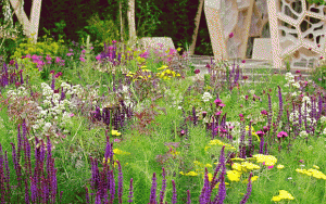 Chelsea Flower Show 2012