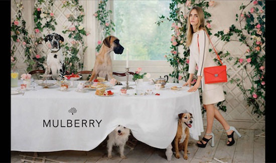 Mulberry