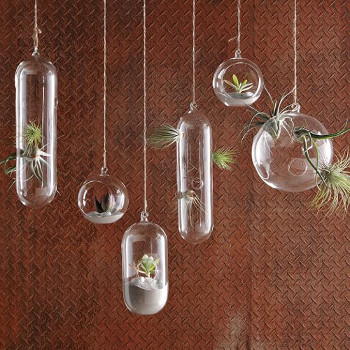 Hanging glass bubble planters