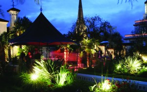 The Roof Garden