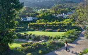 Ranch view