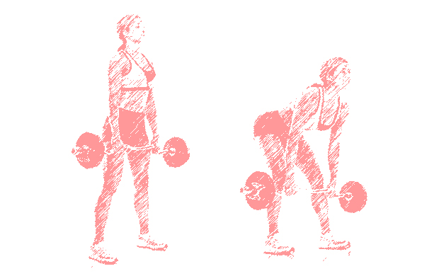 Deadlifts with Olympic bar