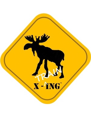 Moose X-Training