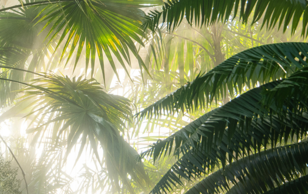 Kew Gardens – West London Living